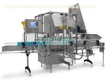 【WL-FGZ-200直线粉剂灌装机】全解析 技术、品牌与市场供应指南